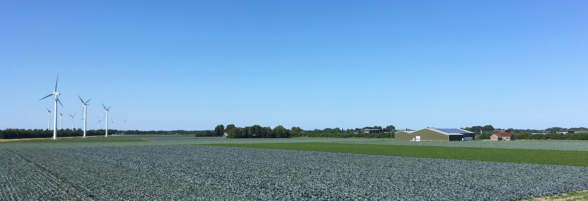 bedrijfspand De Kerkmeer bv in Oudkarspel met rode kool op het land erom heen